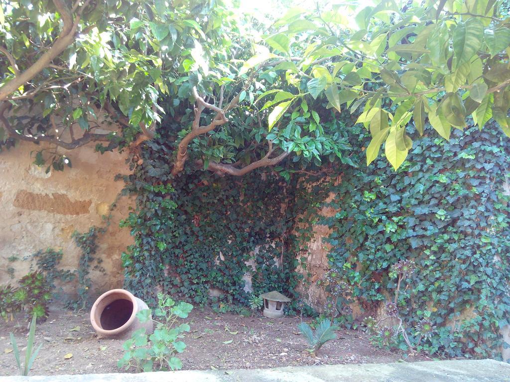 Baglio Bellavista Bed & Breakfast Torre Nubia ภายนอก รูปภาพ