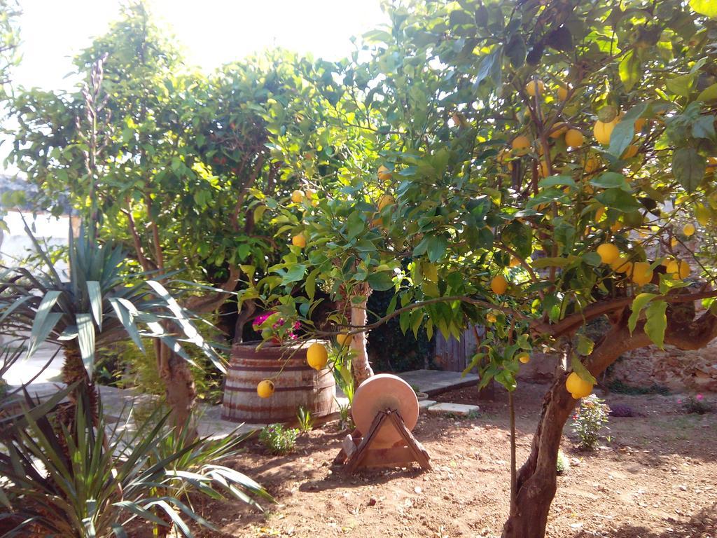 Baglio Bellavista Bed & Breakfast Torre Nubia ภายนอก รูปภาพ